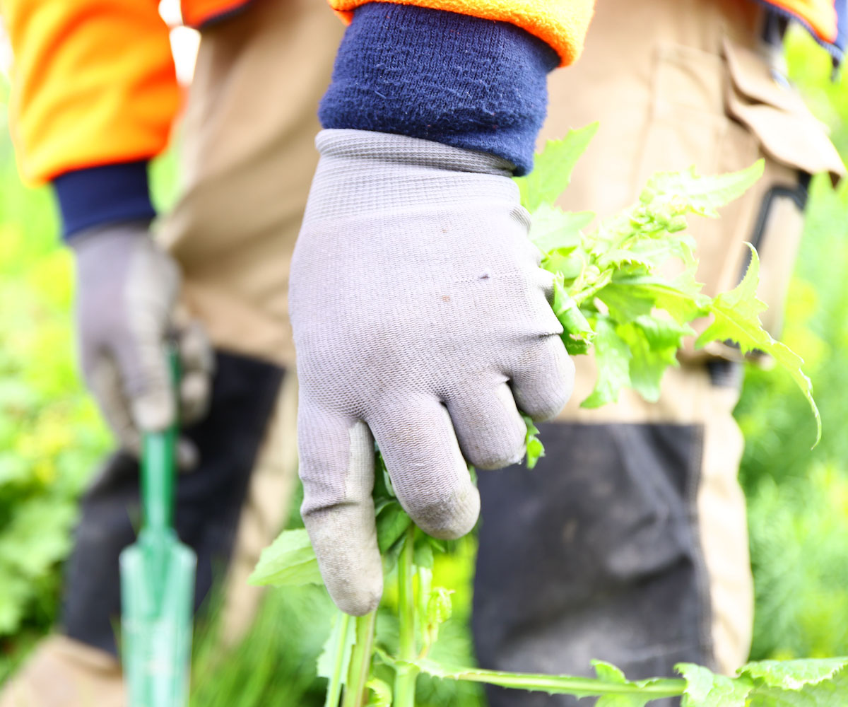 Artopia - Particuliers - entretien paysagiste jardinier service à la personne