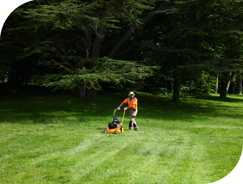 Artopia - Particuliers - entretien espaces verts paysagiste jardinier